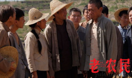 电视剧老农民,岁月流转中的土地情缘